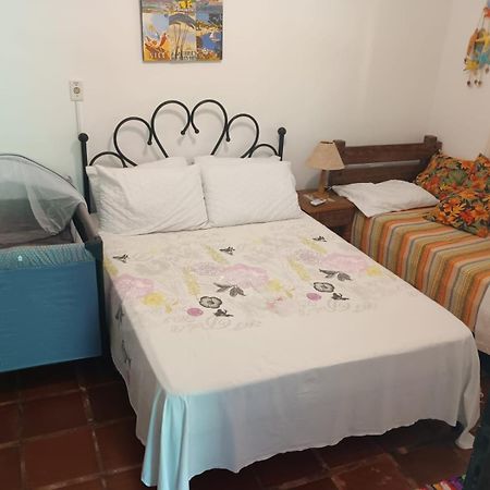 Casa No Morro - Charme Em Meio A Natureza Pertinho Da Praia 3 Dormitorios Sao Sebastiao  Exteriér fotografie